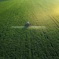 Viewpoint: Putting impact at the core of sustainable investment market stats | Opinion Pieces
