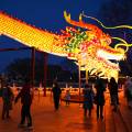 Year of the Dragon: China faces critical moment in push to revive economy | Business and Economy