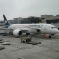 Aeromexico Boeing 787-8 Business Class Review [LAX to MEX]