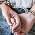 Mumbai Customs seize hydroponic weed worth Rs 49 crore at Mumbai airport, four held